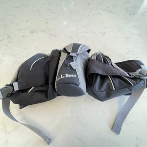 L.L. Bean Sport Waist Cross Body Bag